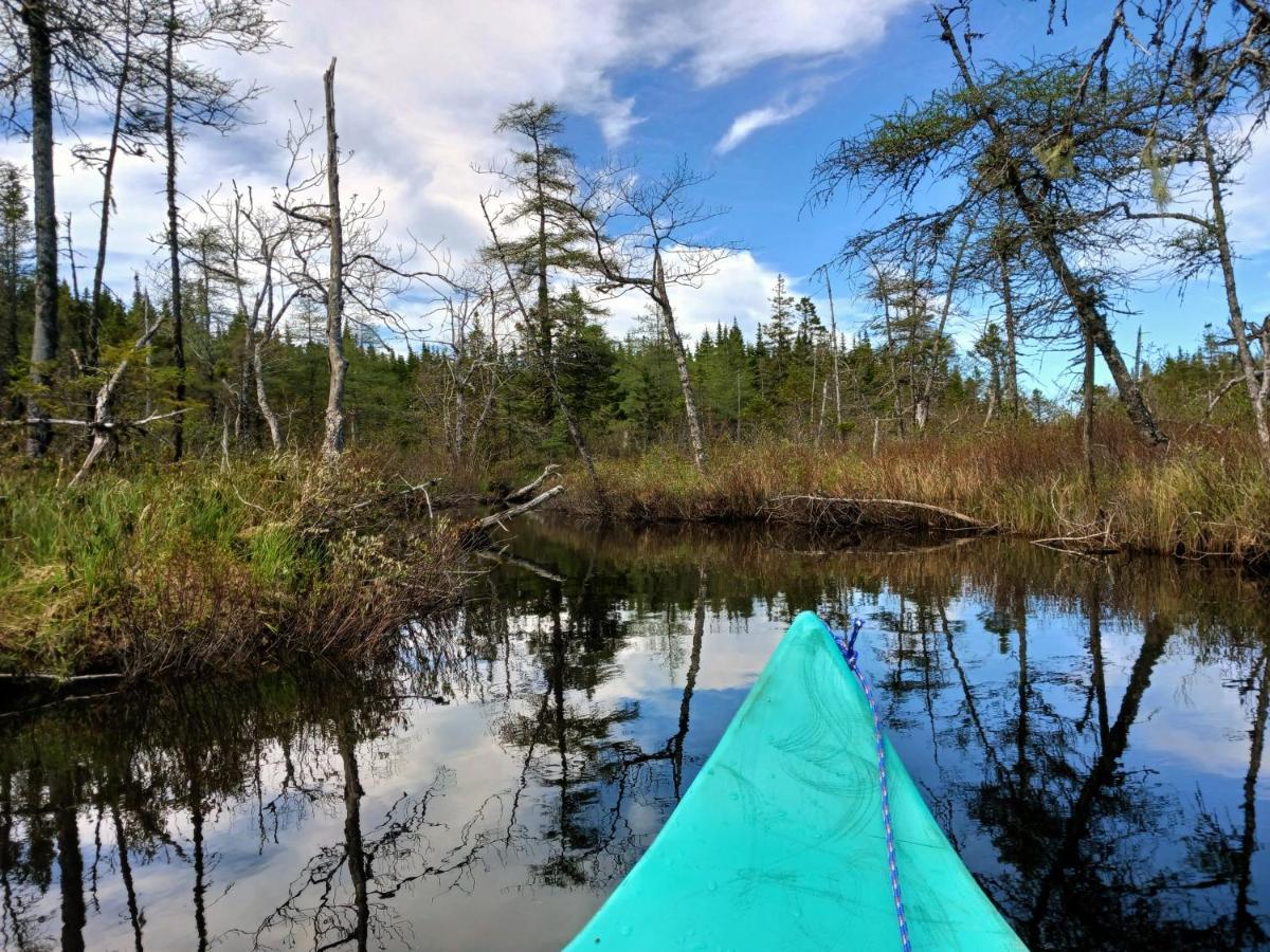 Fiddler'S Lake Escape Gabarus Екстер'єр фото