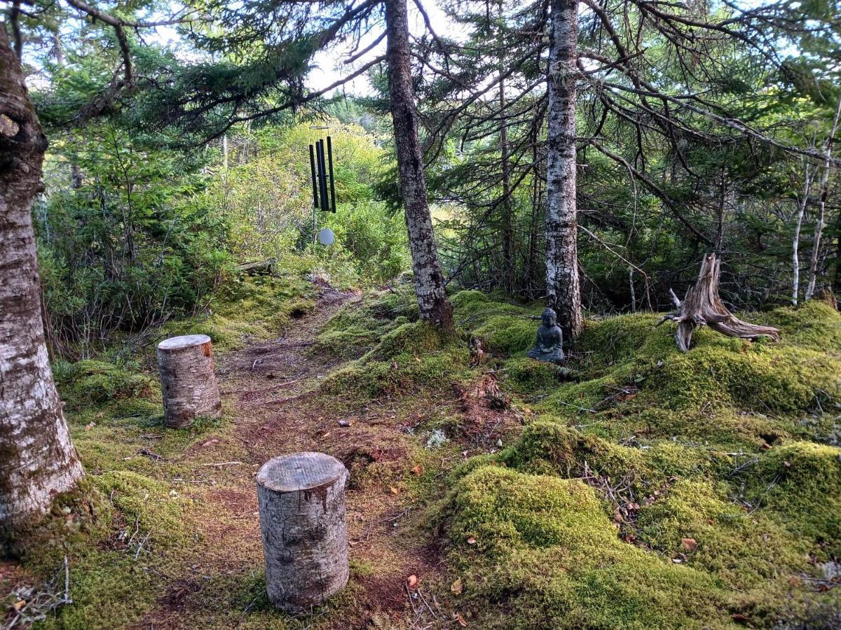 Fiddler'S Lake Escape Gabarus Екстер'єр фото