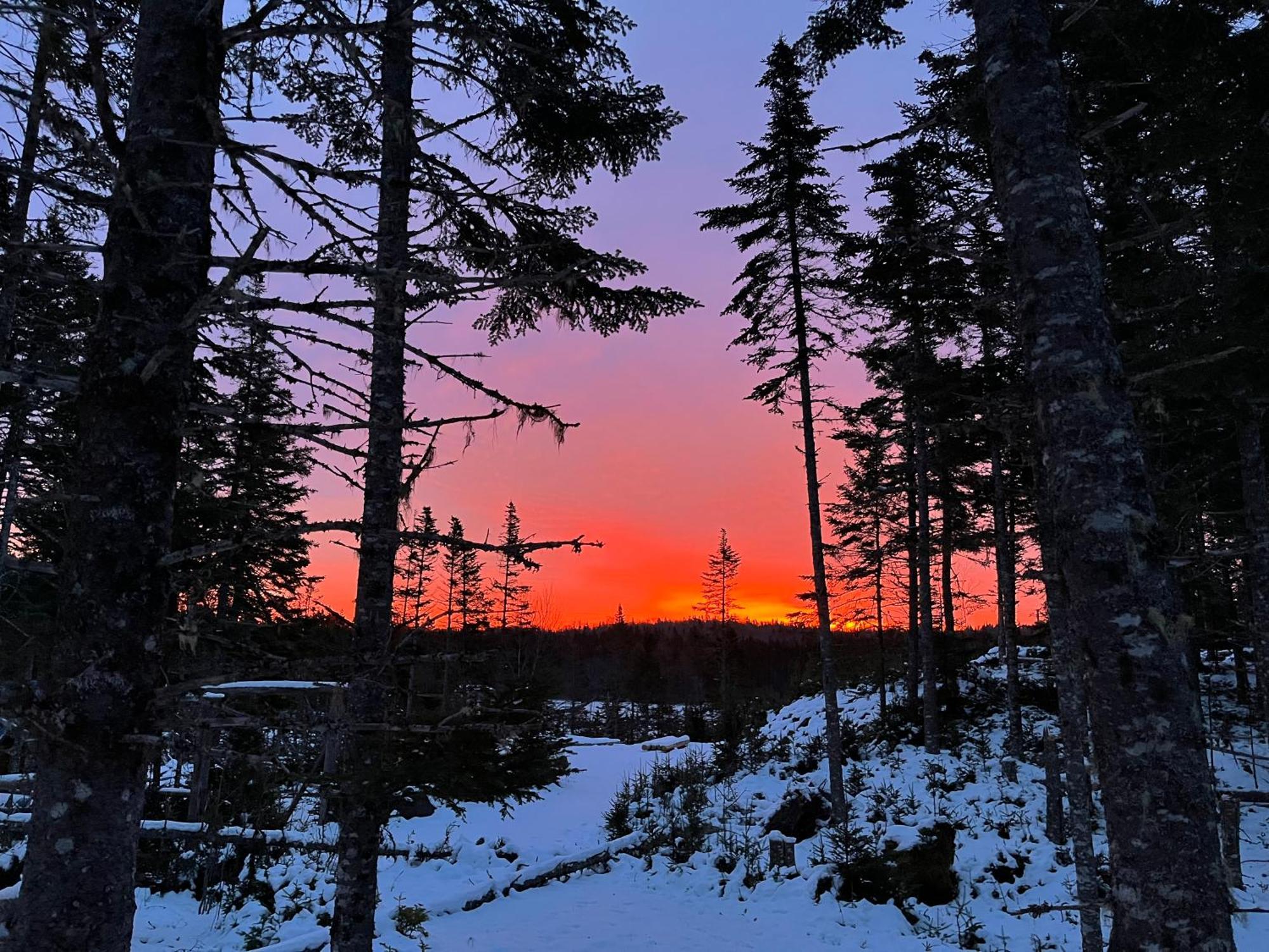 Fiddler'S Lake Escape Gabarus Екстер'єр фото